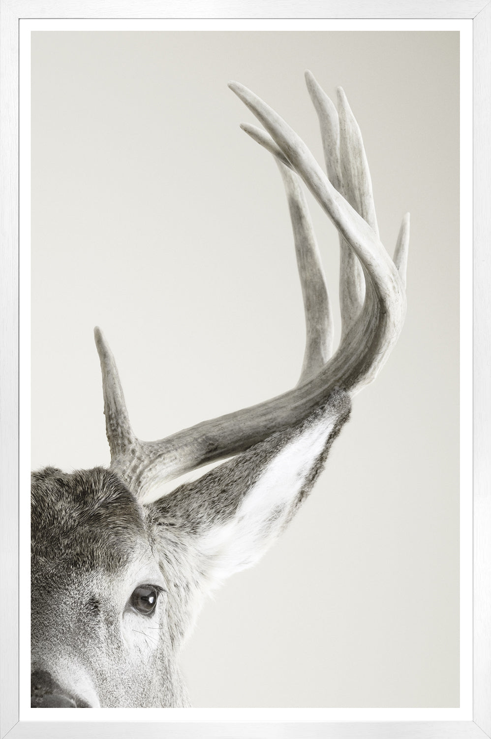 front view of Focused Regard luxury Artwork