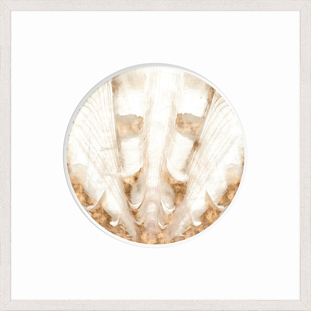 Nautilus II wall art featuring a circular shell design in soft beige and white tones