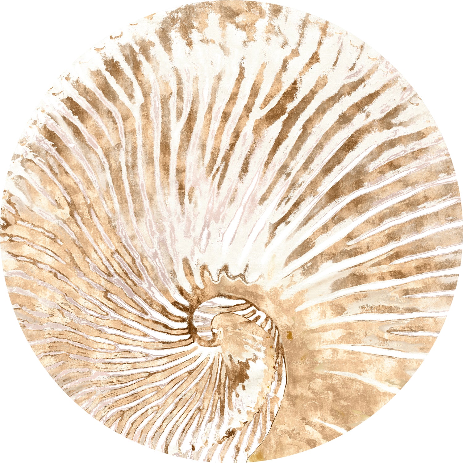 Nautilus I
