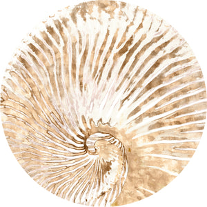 Nautilus I