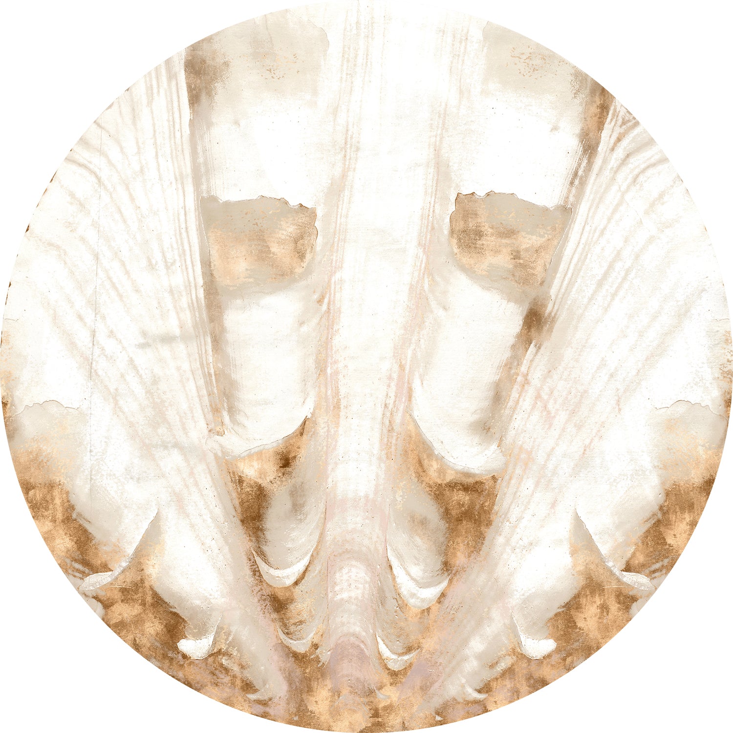 Nautilus II