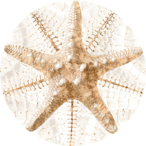 Nautilus III