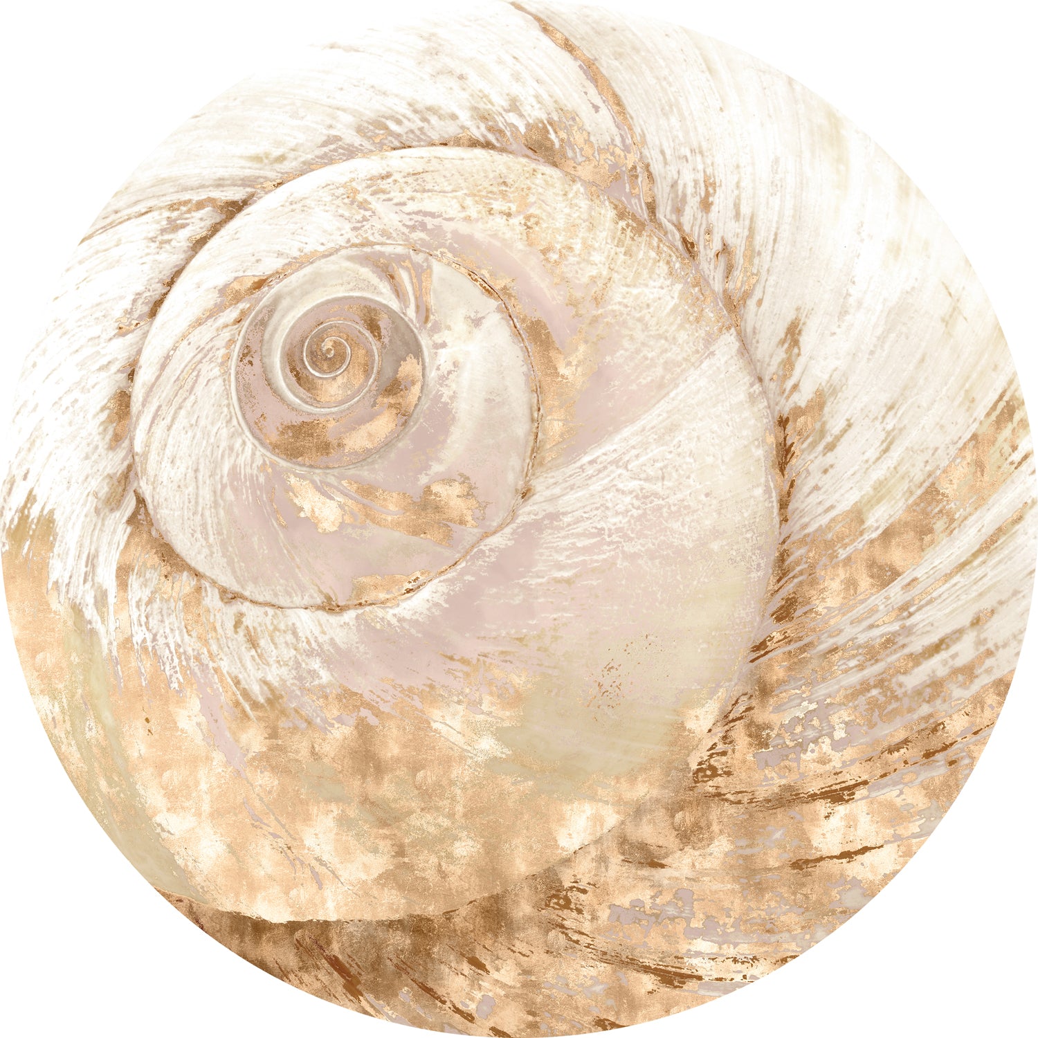 Nautilus V