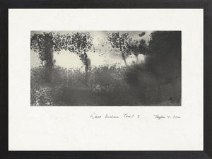West Indian Trail I framed art print