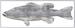57,5 × 21,5 po