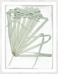 29 × 37 po