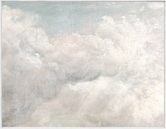 45.5 × 35.5 in
