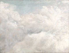 44 × 34 in