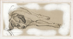 21,25 × 11,25 pouces