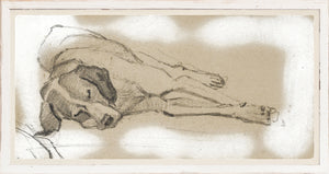 Study Of A Sleeping Dog I framed art print