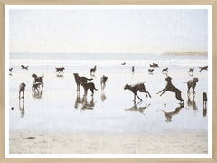 19 × 25 in