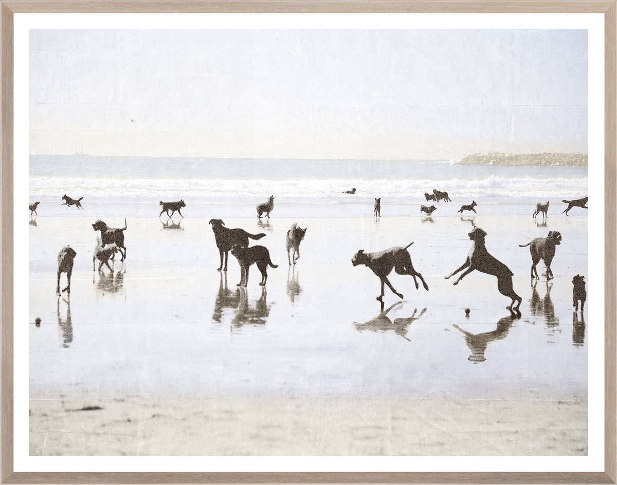 Silhouettes of dogs playing on a beach with a framed border.