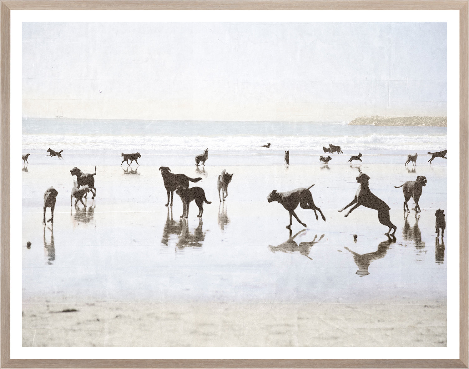 Silhouettes of dogs playing on a beach with a framed border.