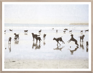 Silhouettes of dogs playing on a beach with a framed border.