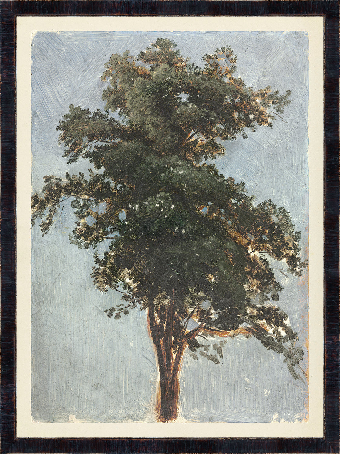 front view of COLLECTION VINTAGE – TREE STUDY, 1855 luxury Artwork