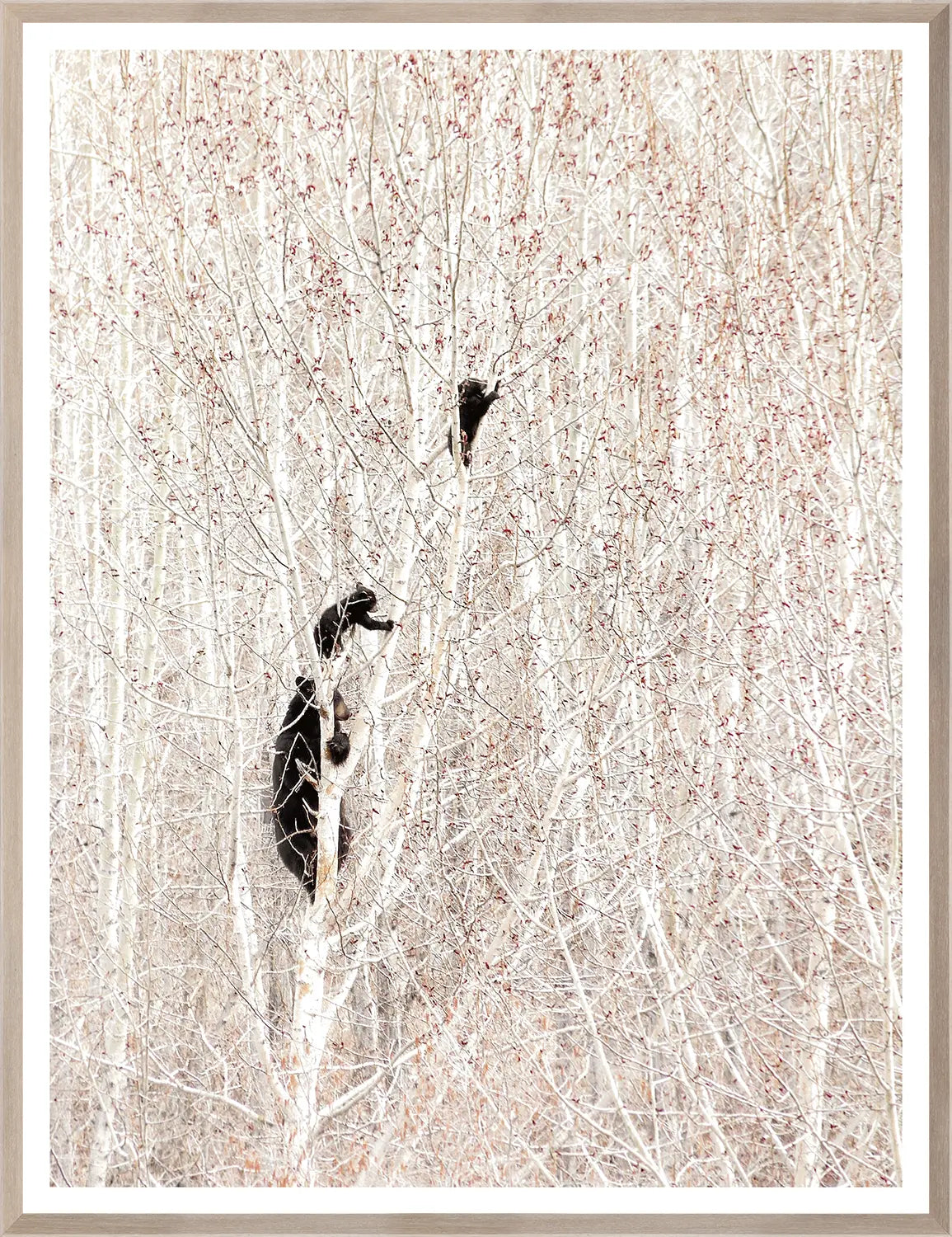 front view of Bears in a Birch Forest luxury Artwork