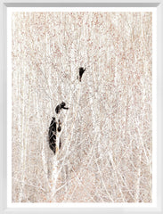 16 × 21 in – White Frame
