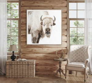 Sacred White Bison