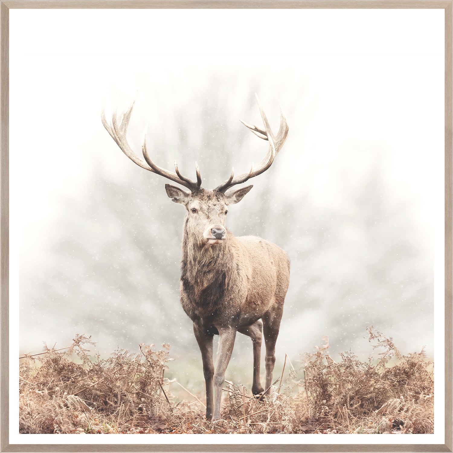 front view of Red Deer Stag luxury Artwork