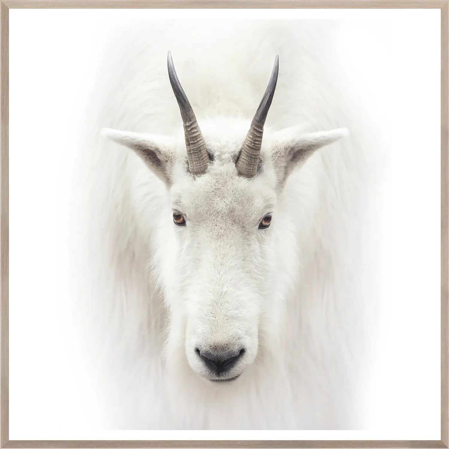 front view of Mountain Goat luxury Artwork
