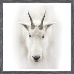22 × 22 in – Grey Frame