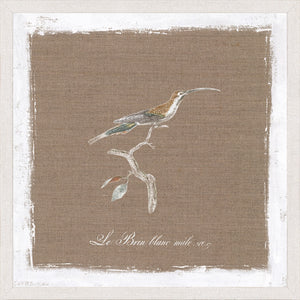 Oiseau Sur Lin II wall art featuring a bird perched on a branch against a brown linen background.