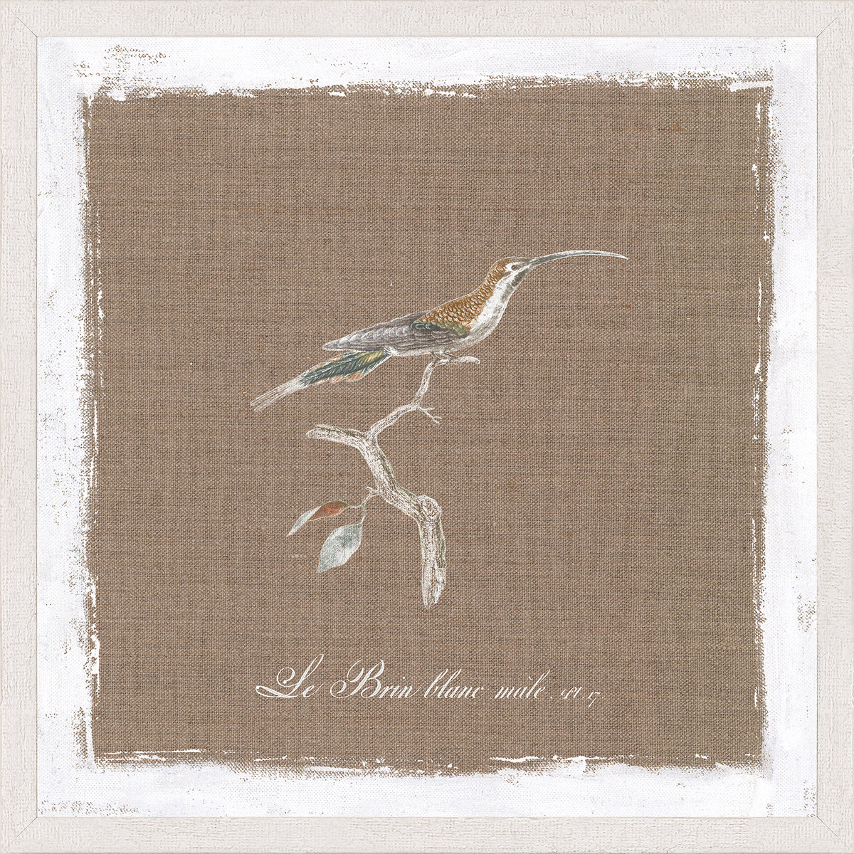 Bird On Linen II