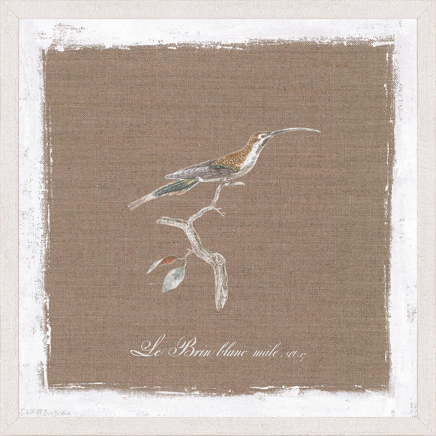 Bird On Linen II