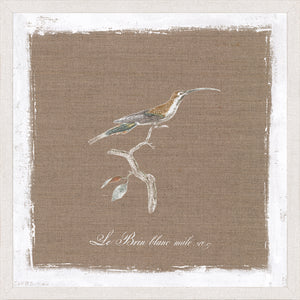 Bird On Linen II