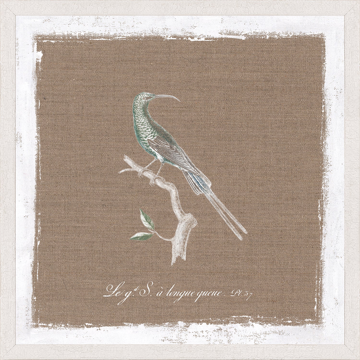 Oiseau Sur Lin IV