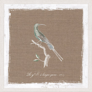 Oiseau Sur Lin IV