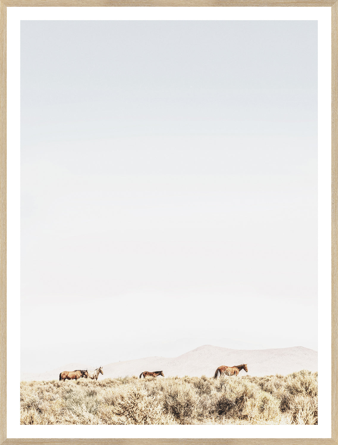 Sage Ridge, Chevaux