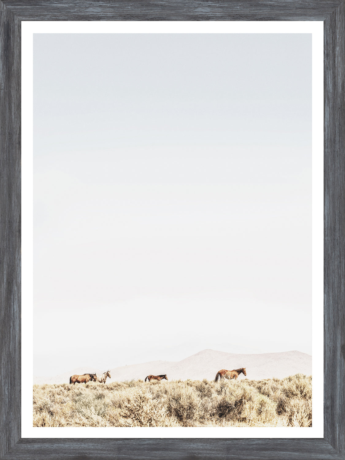 Sage Ridge, Chevaux