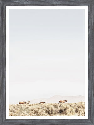 Sage Ridge, Chevaux