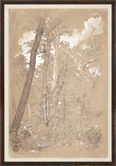 16.25 × 23.25 in