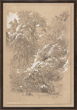 Northern Collection – Goat Island C. 1858 wall art featuring a nature scene with trees and white flowers.