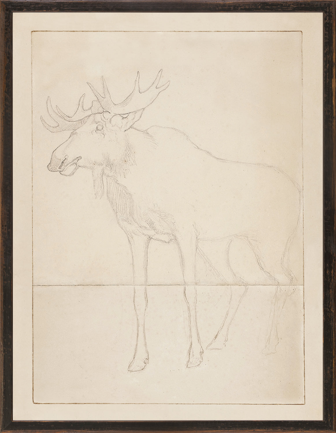 Northern Collection Moose Sketch C. 1858, pencil drawing of a moose on textured paper