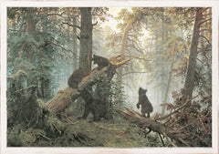 20,25 × 14,25 po