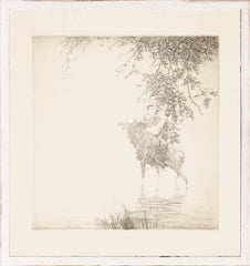 43,82 × 41,28 cm