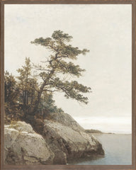 9 × 11 po
