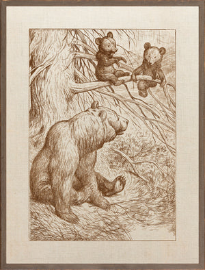 Northern Collection – Mother with Cubs C. 1893