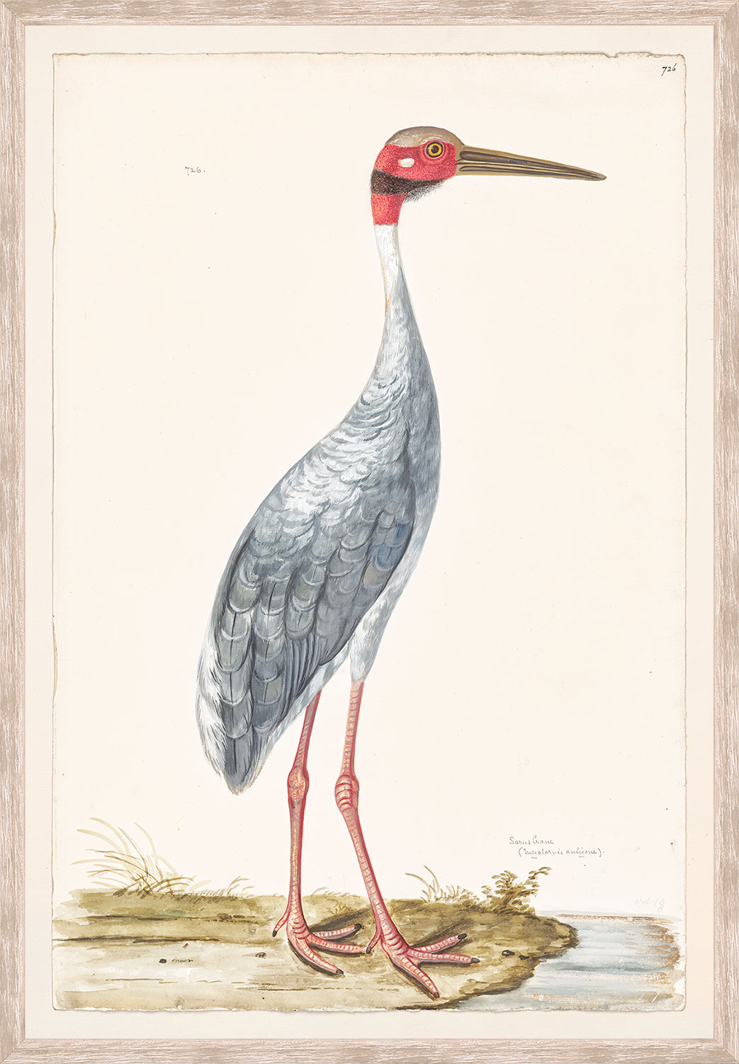 front view of T. WHITE – SUR CRANE C. 1720 luxury Artwork