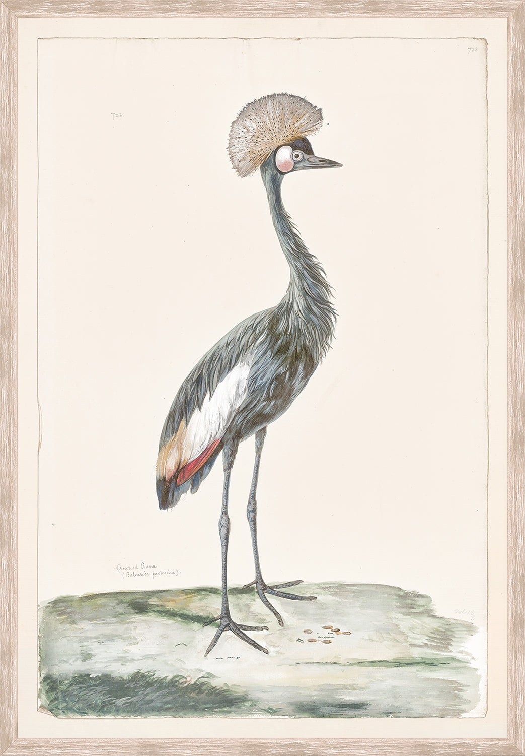 front view of T. WHITE – CROWNED CRANE C. 1720 luxury Artwork