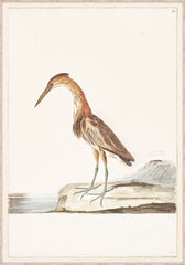 33 × 47 in