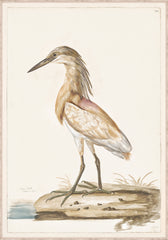 33 × 47 in