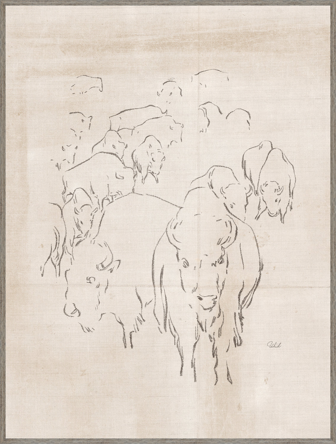 Troupeau de bisons