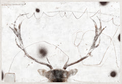 51.25 × 35.25 in – Glass Framed