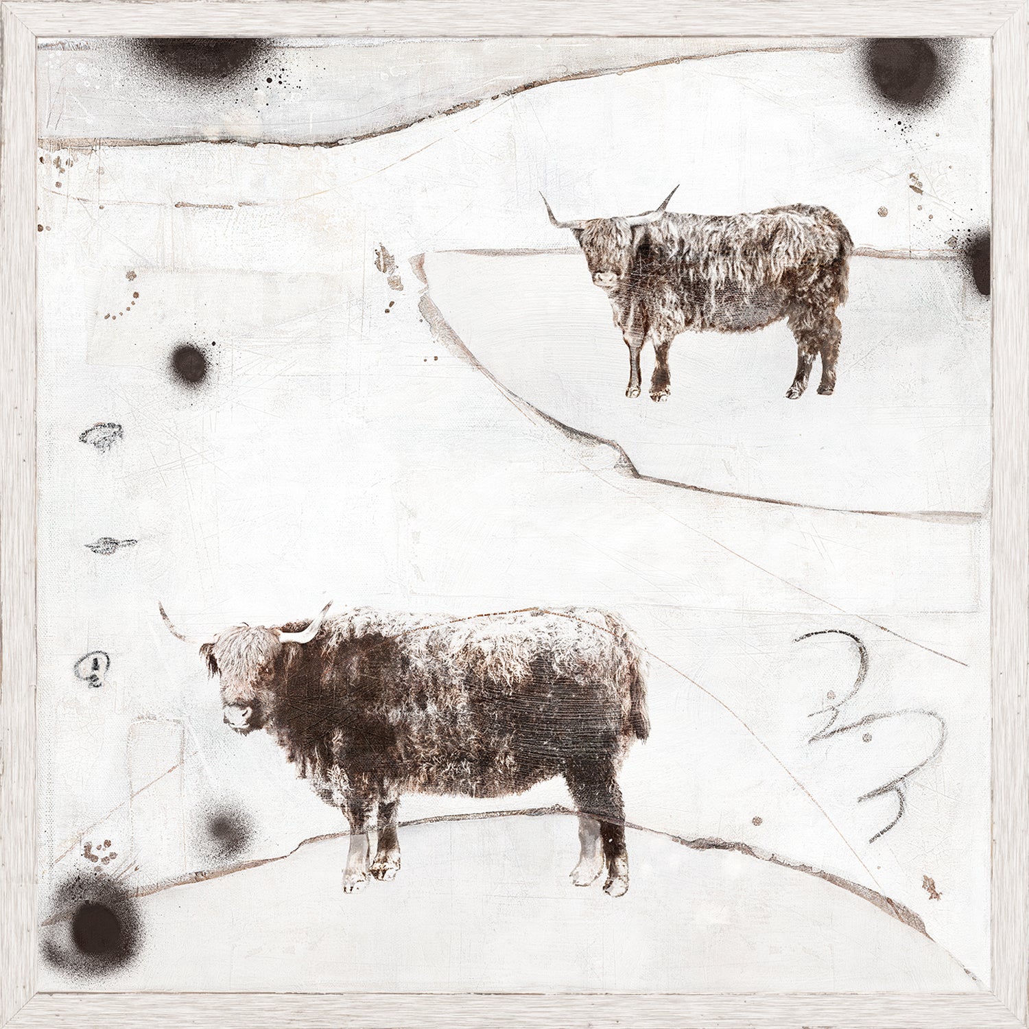 Carousel – Highland Cows wall art featuring two textured cows on a light background with abstract elements.