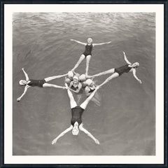 Large Photograph (18.75 × 18.75 in)