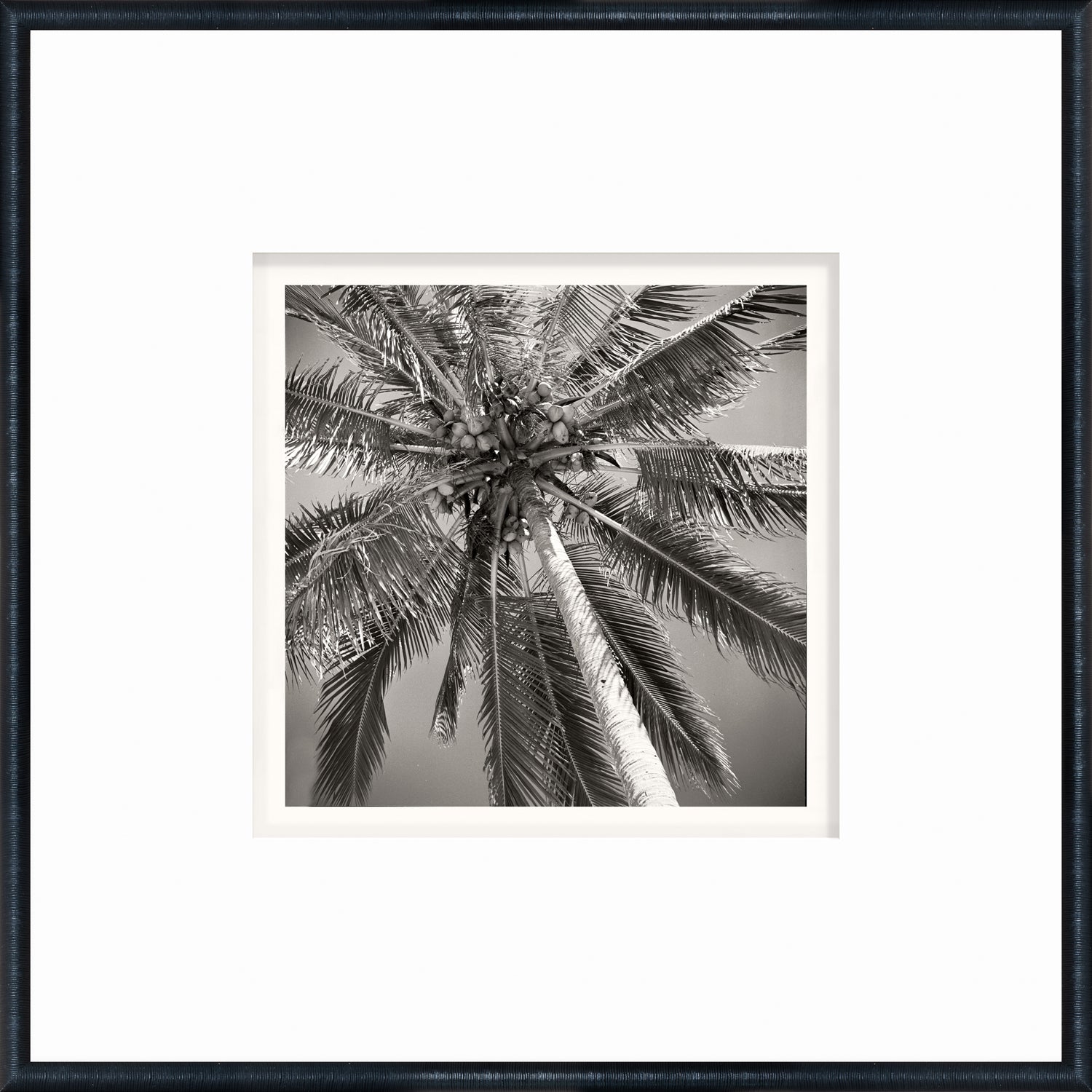 angle view of NOSTALGIA COLLECTION – PALM TREE C. 1959 luxury Artwork